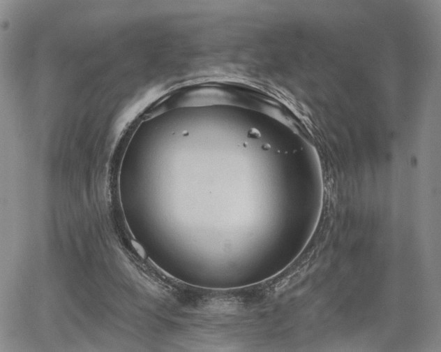 X0000063480248200601231354