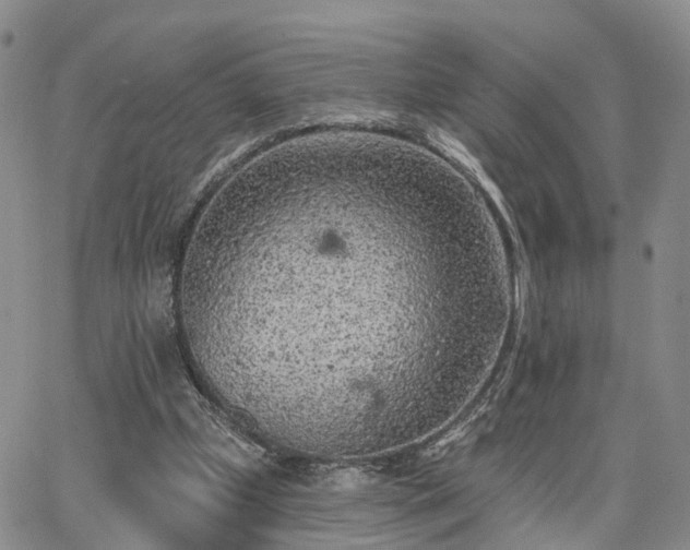 X0000063480249200601231354