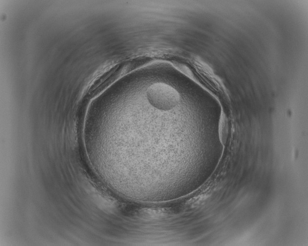 X0000063480250200601231354