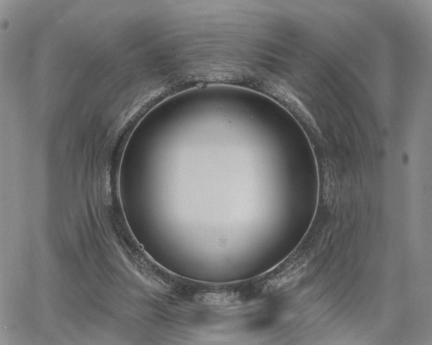 X0000063480251200601231354