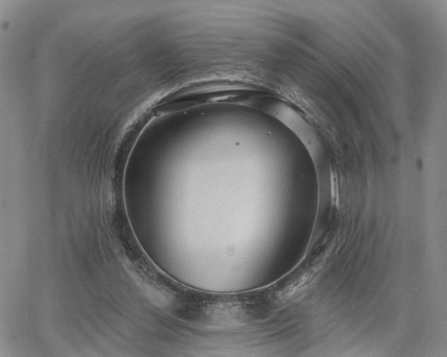 X0000063480252200601231354