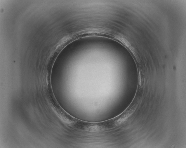 X0000063480253200601231354