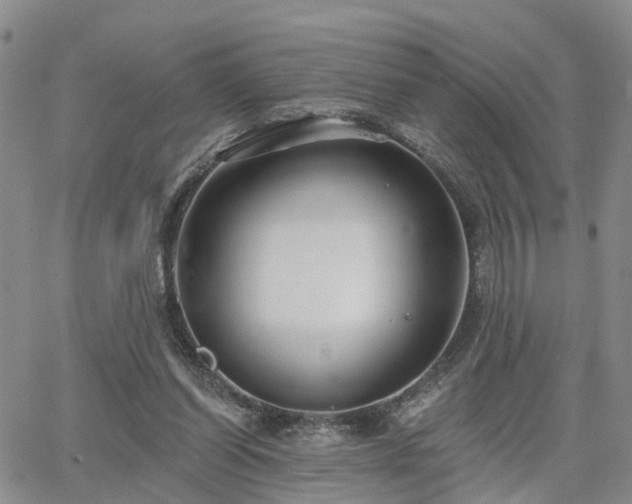 X0000063480254200601231354