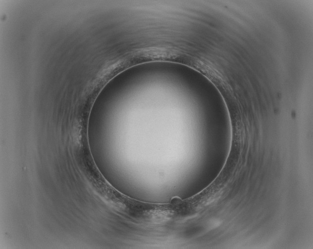 X0000063480255200601231354