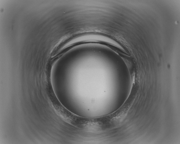 X0000063480256200601231354