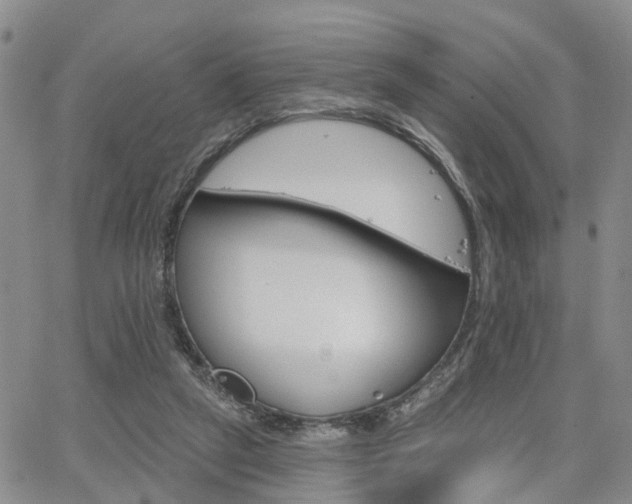 X0000063480257200601231354