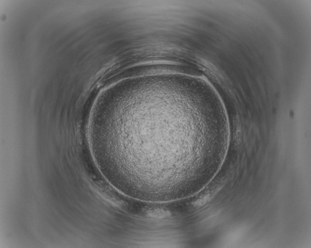 X0000063480258200601231354