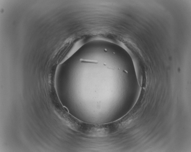 X0000063480260200601231354