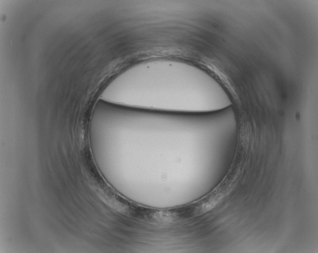 X0000063480261200601231354