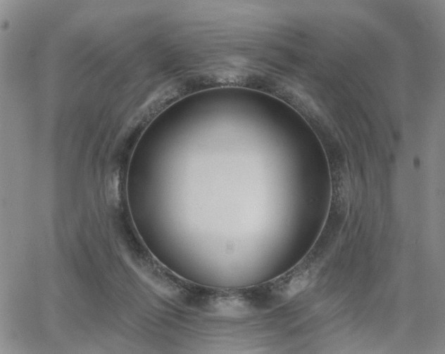 X0000063480262200601231354