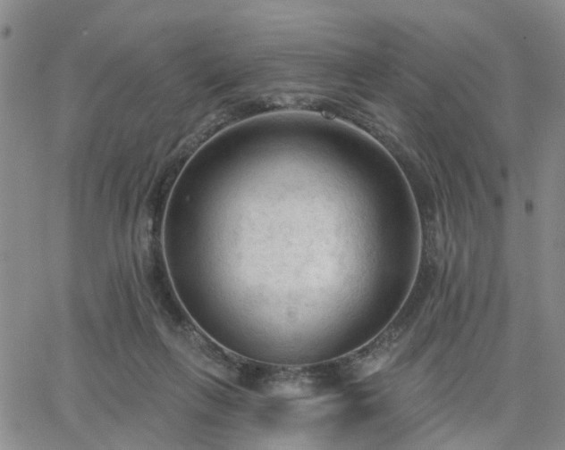 X0000063480263200601231354