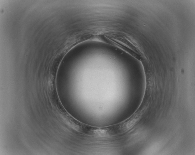 X0000063480265200601231354