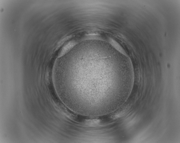 X0000063480266200601231354