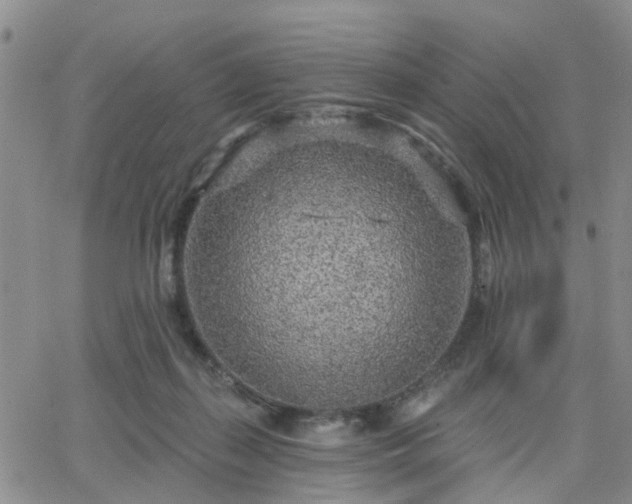 X0000063480267200601231354