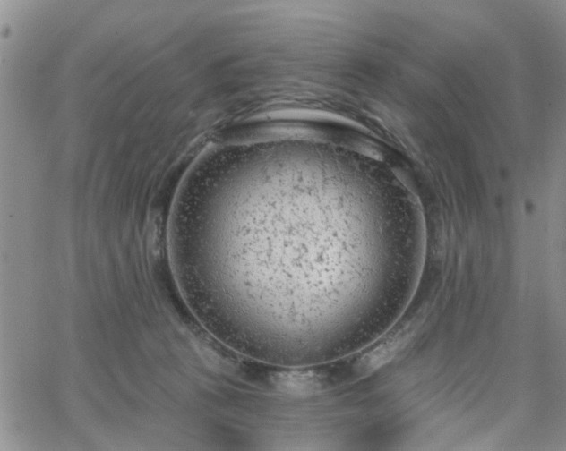 X0000063480273200601231354