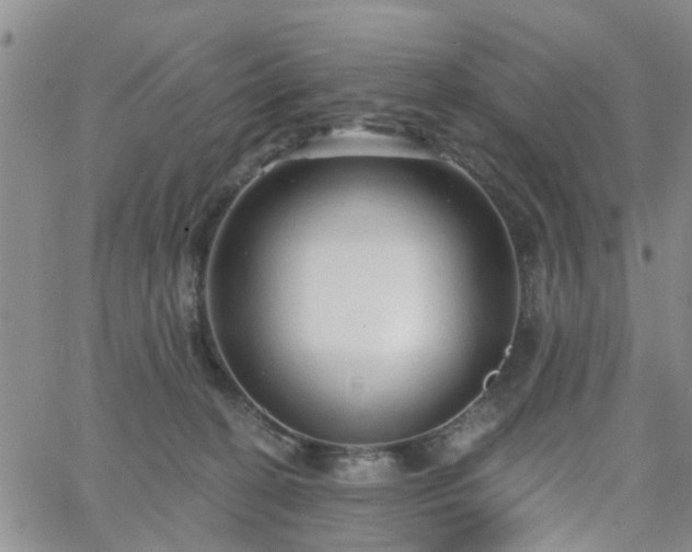 X0000063480274200601231354