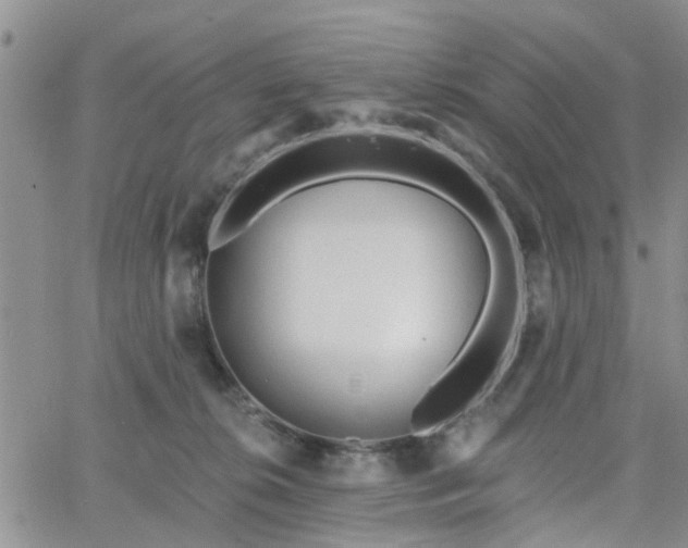 X0000063480276200601231354