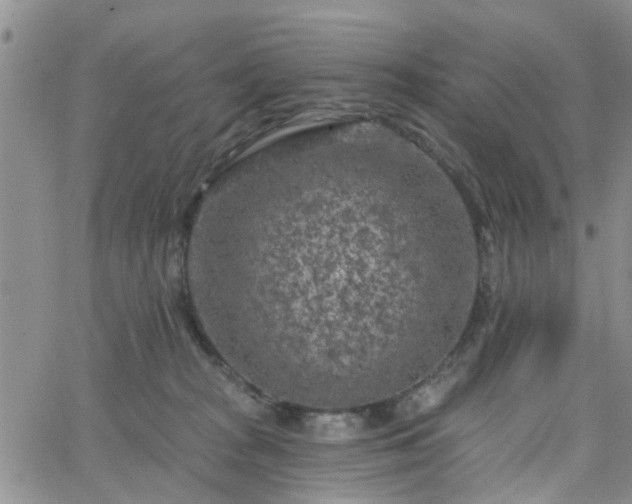 X0000063480277200601231354