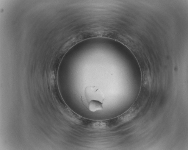 X0000063480279200601231354