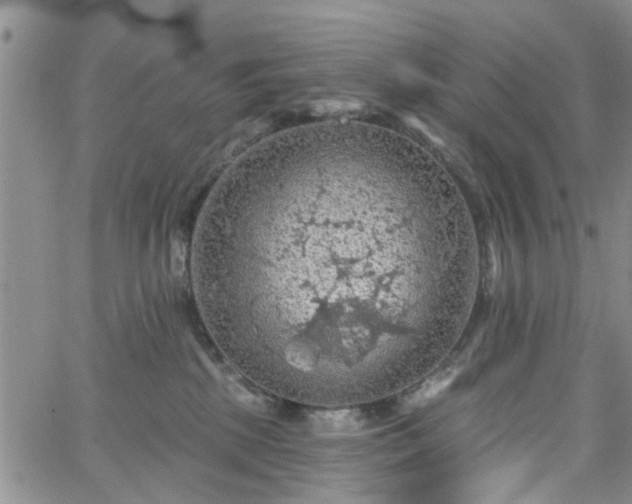 X0000063480281200601231354