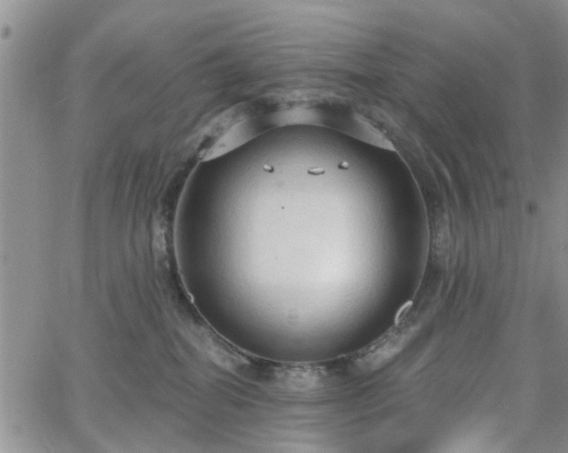 X0000063480282200601231354