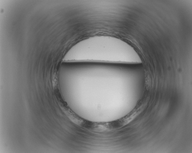 X0000063480285200601231354