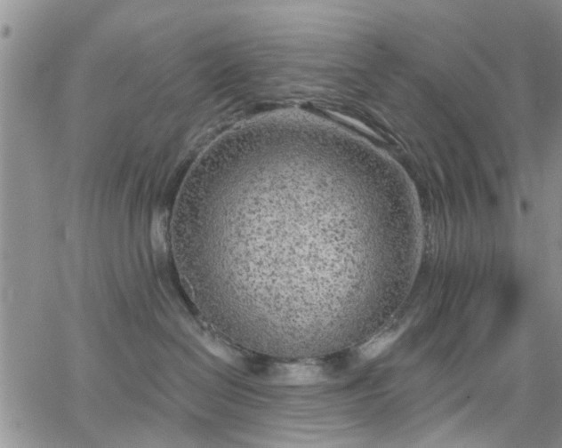 X0000063480286200601231354