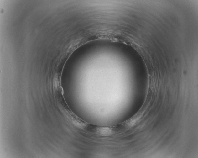 X0000063480287200601231354