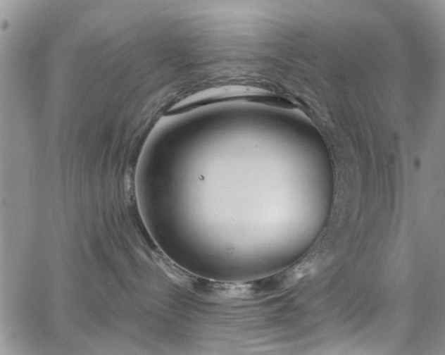 X0000063480288200601231355