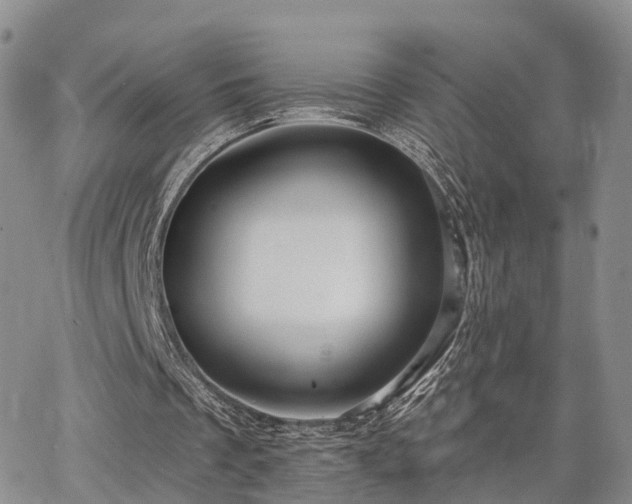 X0000063480289200601231354