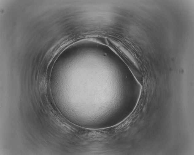 X0000063480290200601231354