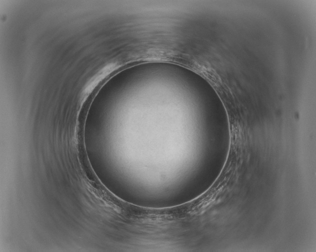 X0000063480292200601231354