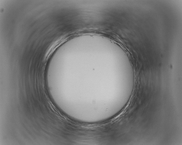 X0000063480293200601231354