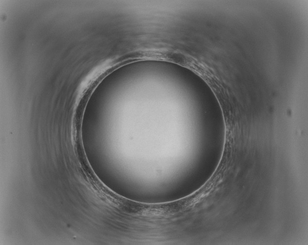 X0000063480294200601231354