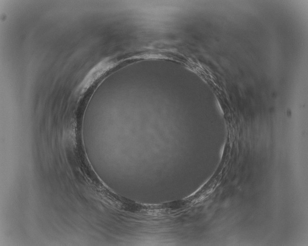 X0000063480295200601231354