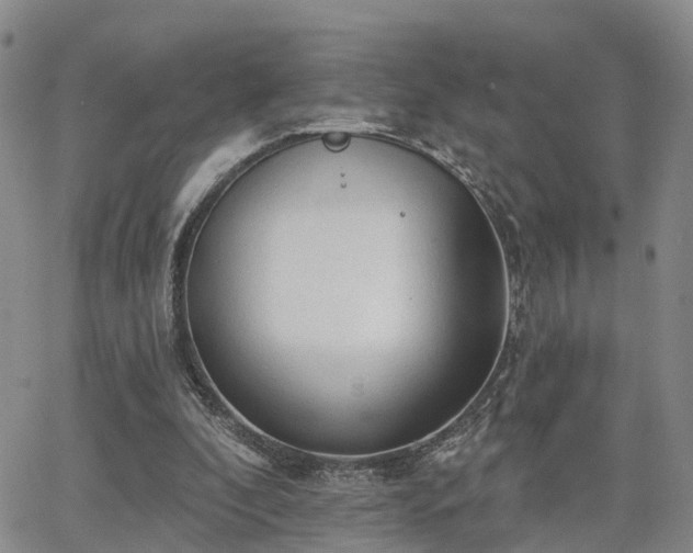 X0000063480296200601231354