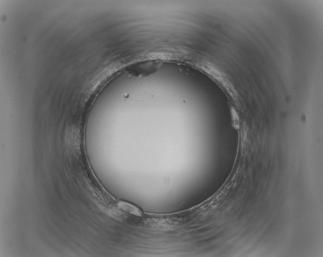 X0000063480297200601231354