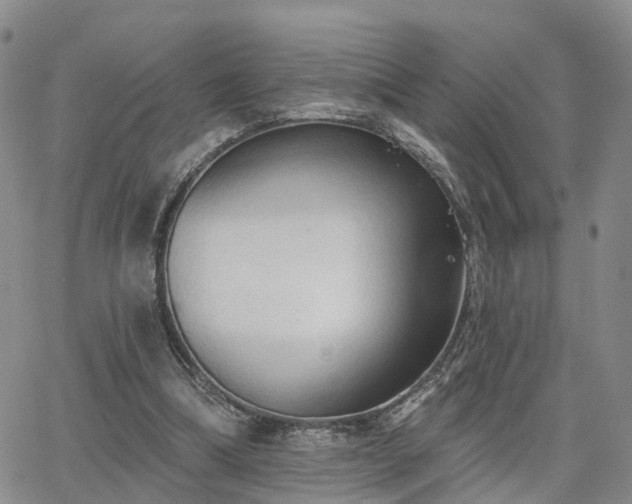 X0000063480298200601231354