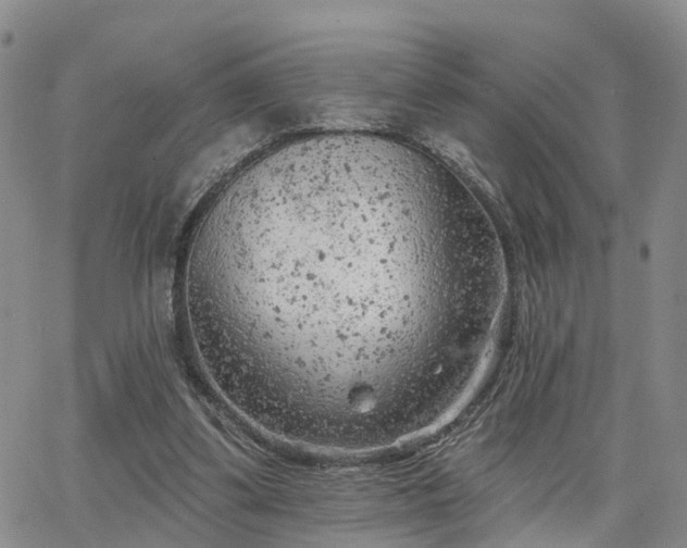 X0000063480299200601231354