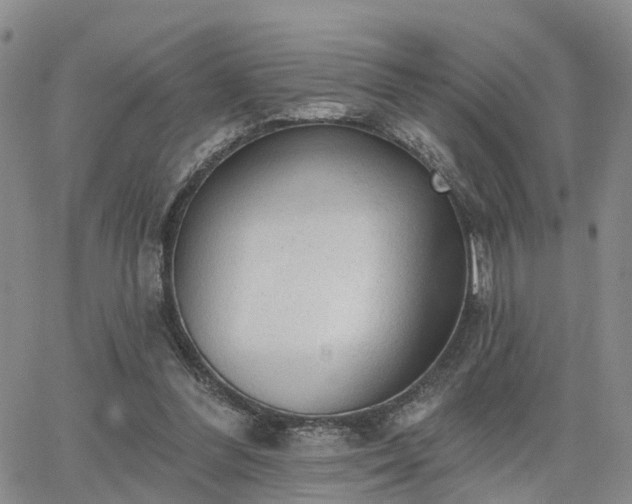 X0000063480300200601231354