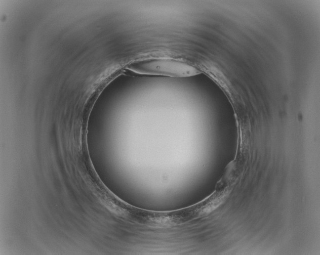 X0000063480301200601231354