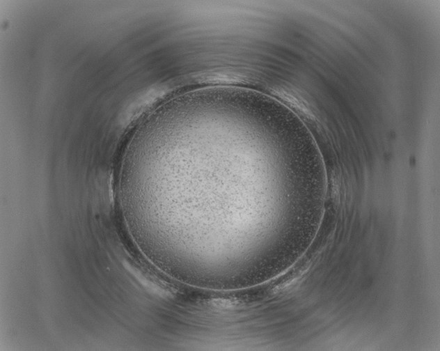 X0000063480302200601231354