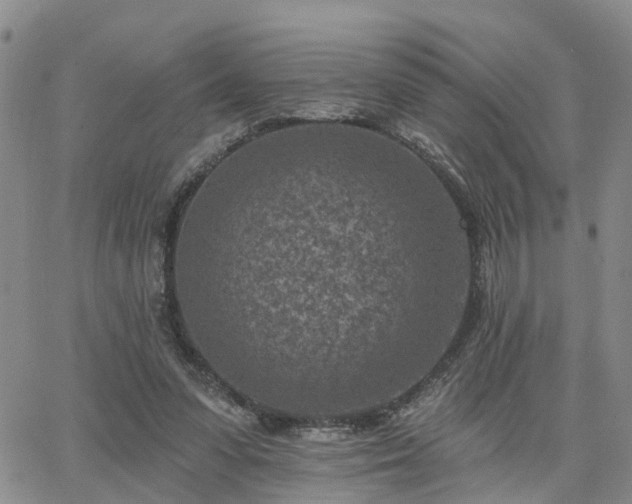 X0000063480303200601231353