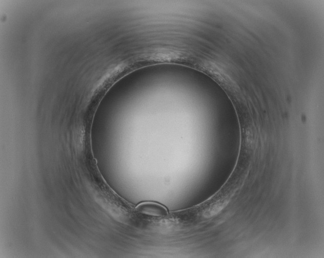 X0000063480304200601231353