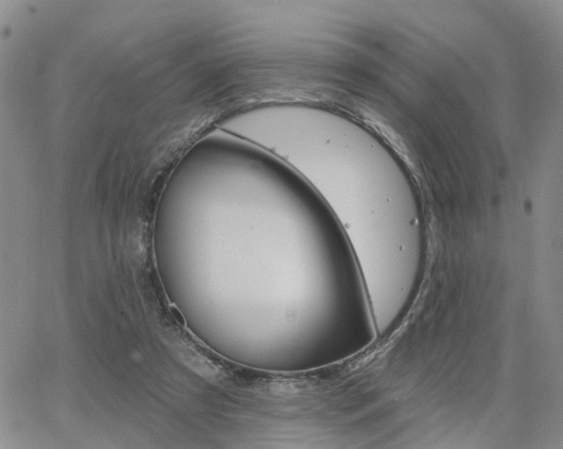 X0000063480305200601231353