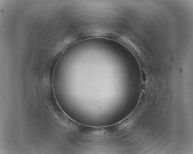 X0000063480306200601231353