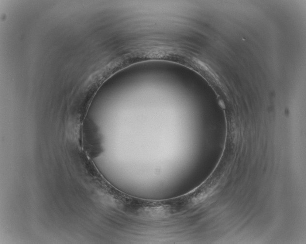 X0000063480307200601231353