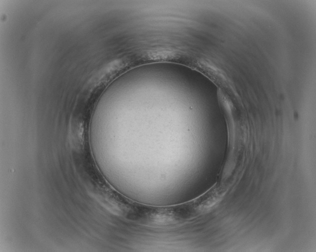 X0000063480308200601231353