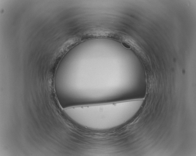 X0000063480309200601231353