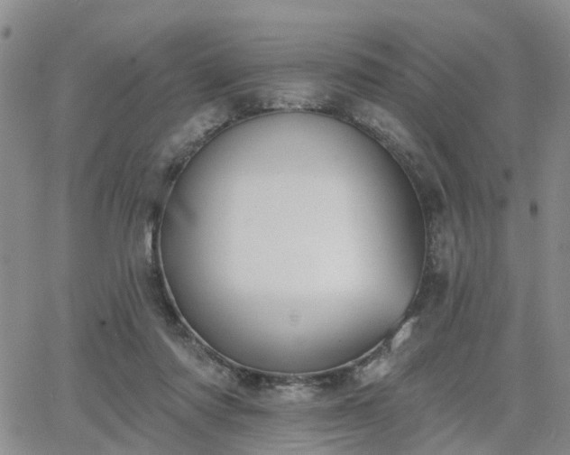 X0000063480310200601231353